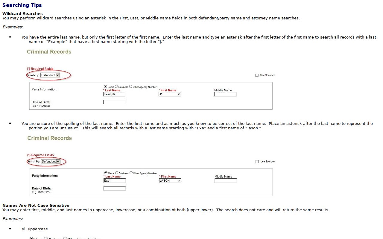 Spring Valley resident lookup Justice Court search help fields